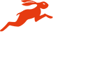 MS Moto Kurye